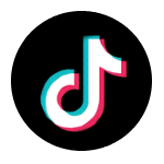 TikTok Icon